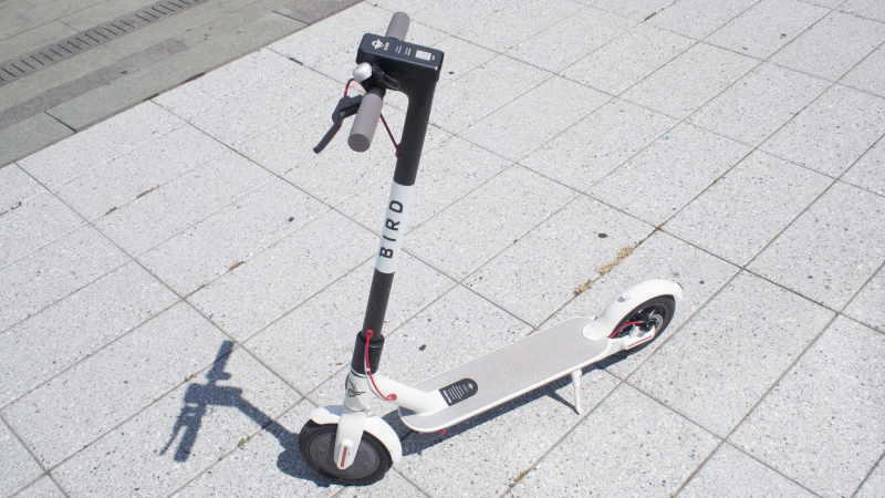 Illustration for article titled Will E-Scooters Be a Disaster For New York City?
